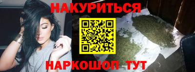 индика Нальчик