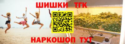 индика Нальчик