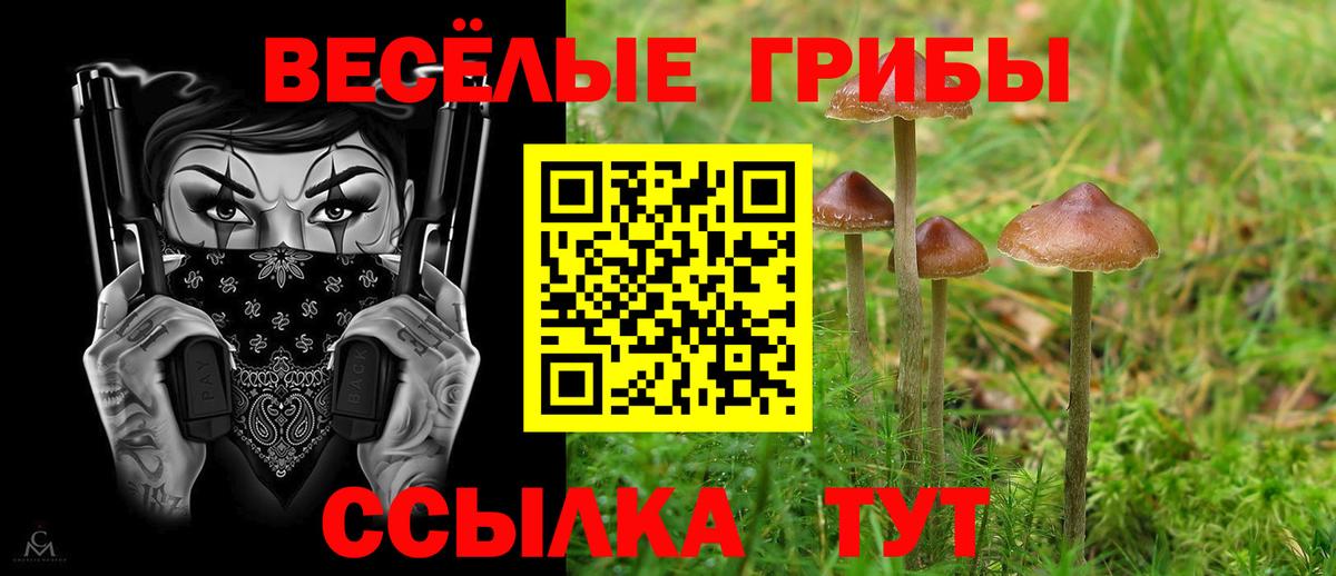 Псилоцибиновые грибы MAGIC MUSHROOMS  Вход с VPN  Псилоцибиновые грибы мухоморы  Великий Новгород 
