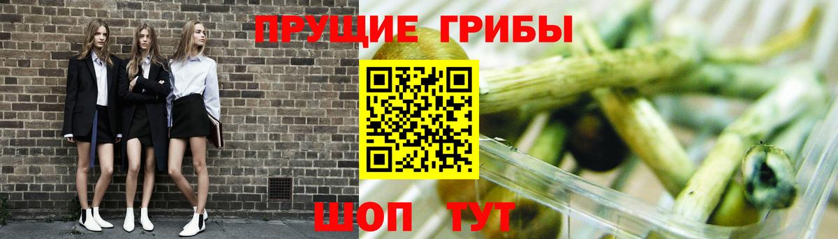 Галлюциногенные грибы Magic Shrooms Великий Новгород